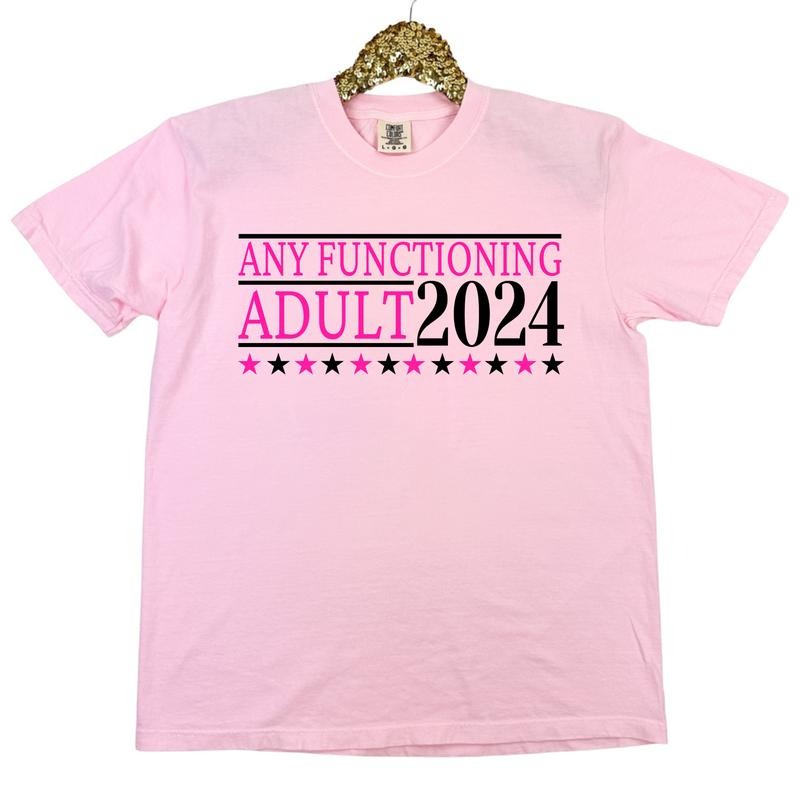 Any Functioning Adult Comfort Colors T-Shirt 'NLB'