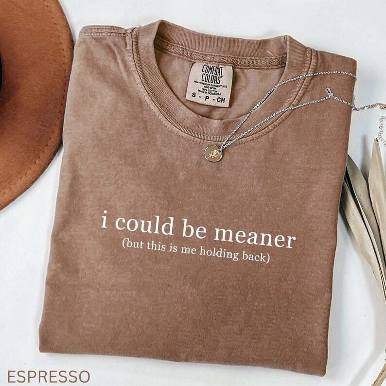 Comfort Color I Could Be Meaner Shirt, Funny Sarcastic Tee, Unhinged Humor Tee, Dark Humor Shirt, Women Sarcasm Shirt, Funny Mom