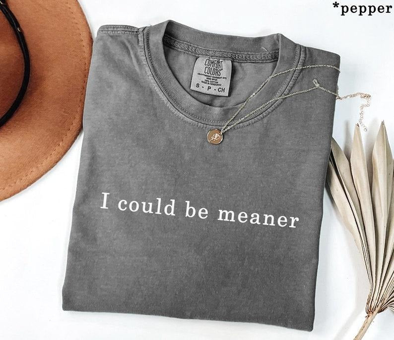 Comfort Colors I Could Be Meaner Shirt, Funny Humor Shirt, Sarcastic Shirt, Funny Quote Shirt, Sarcasm Shirt, Trendy Shirt for Women Streetwear Top