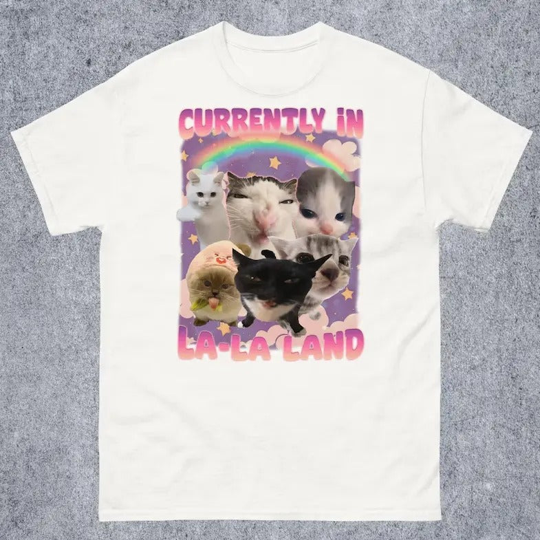 Currently in La-La Land Funny Cat Meme Tee Shirt, Cringe T-shirt, Ugly Shirts