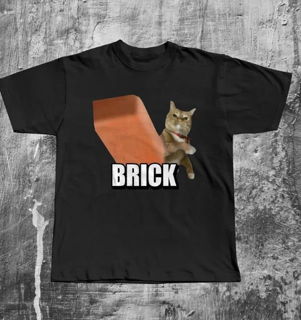 Funny Cat Throwing Brick T-shirt, Silly Cats Tee, Unhinged Clothes, Brainrot Shirts, Cat Lover Gifts, Weird Tshirt