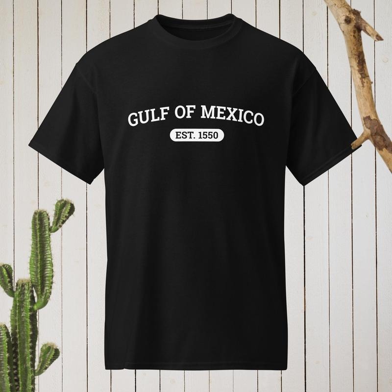 Gulf of Mexico Shirt, Gulf of Mexico Classic Tee Shirt, Political Protest Tee, Gulf Coast Shirt, Liberal Gift Tee