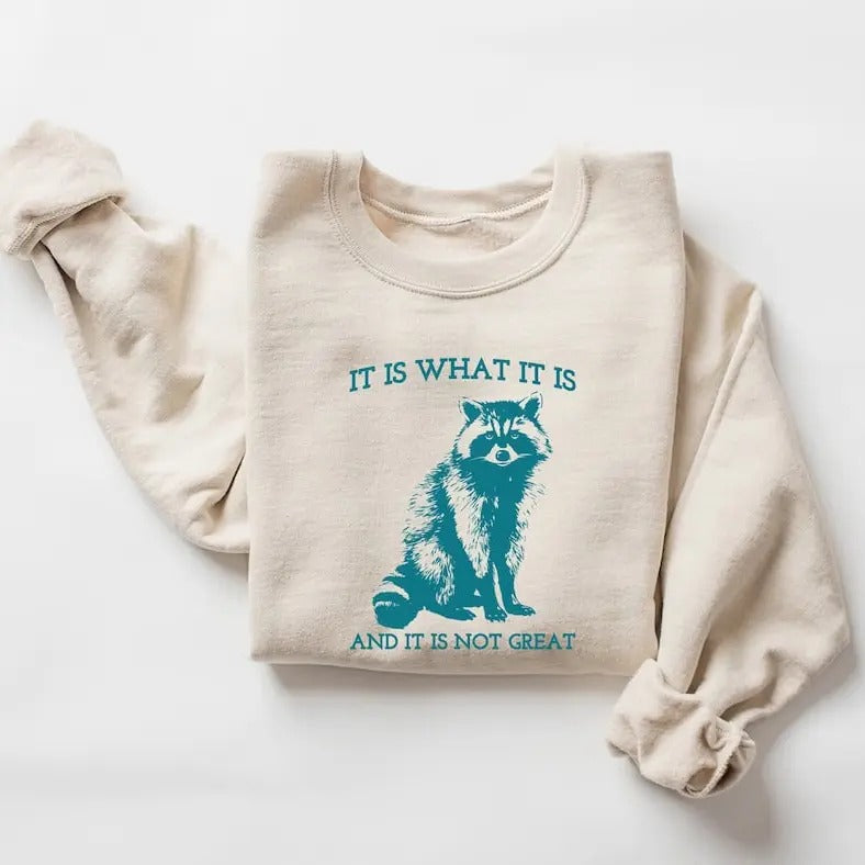 It Is What It Is And It Is Not Great Sweatshirt, Vintage Sweatshirt, Raccoon Sweatshirt, Mental Health Sweatshirt, Funny Sweatshirt Womenstyle{n002}2