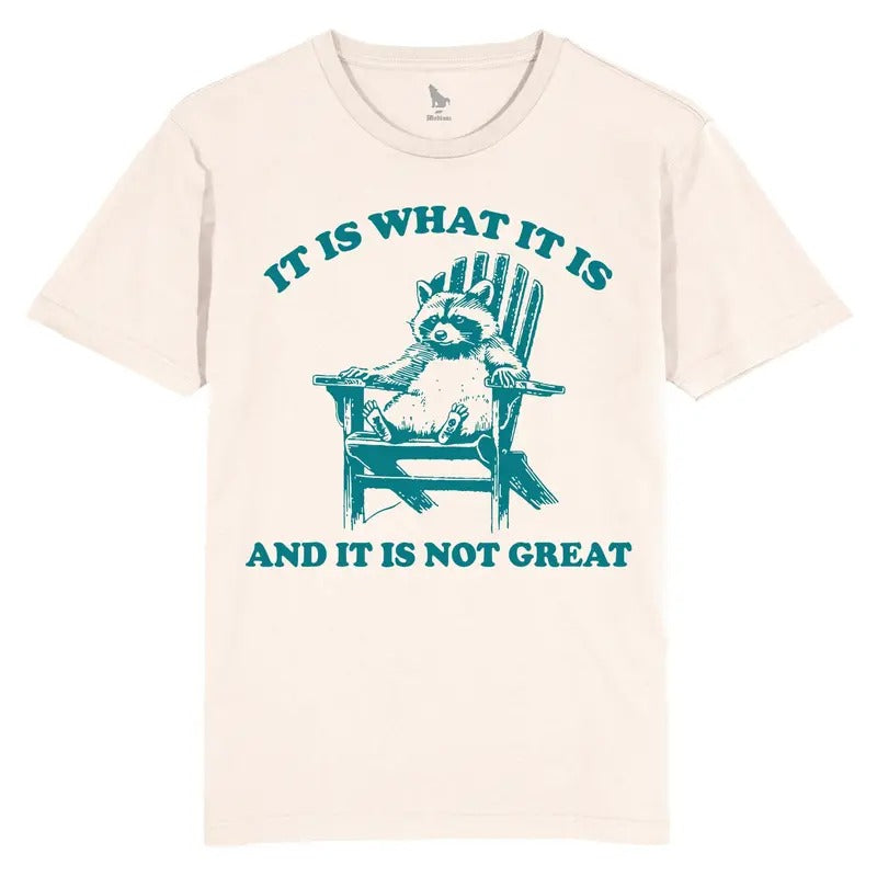It Is What It Is And It Is Not Great Vintage - CHILLIN, DECK , T Shirt, Funny, Raccoon, Meme, Cartoon Tee Shirt, Retro Tee, Fun Gift