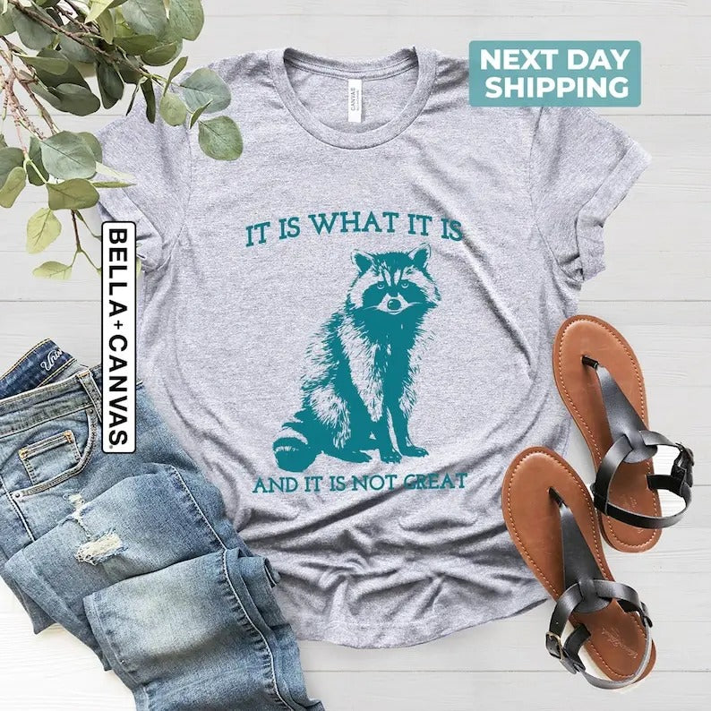 It Is What It Is And It Is Not Great, Vintage Drawing T Shirt, Raccoon Meme Shirt, Sarcastic Shirt, Mental Health Shirt, Trash Panda sweater and hoodie
