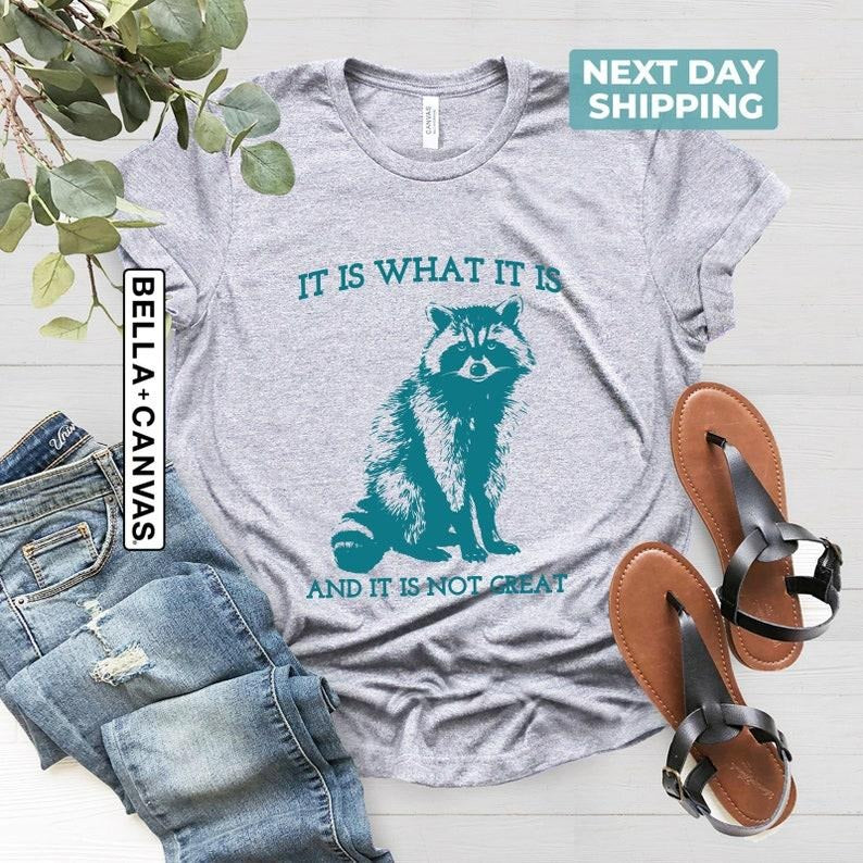 It Is What It Is And It Is Not Great, Vintage Drawing T Shirt, Raccoon Meme Shirt, Sarcastic Shirt, Mental Health Shirt, Trash Panda sweater