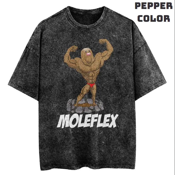 Moleflex Gym Vintage Graphic Tees, Gym T-Shirt, Pokemon Shirts, Vacation Outfits, Unisex Anime Manga Shirt Top Menswear Womenswear Streetwear