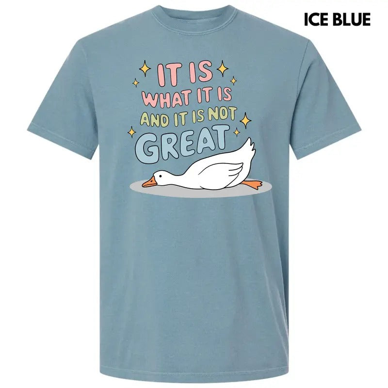 Not Great Goose Comfort Colors T-Shirt 'NLB'