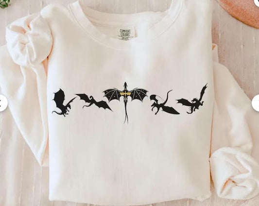 Basgiath War College Merch, Fourth Wing Shirts, Riders Quadrant, Bookish Tee, Gift For Book Lover