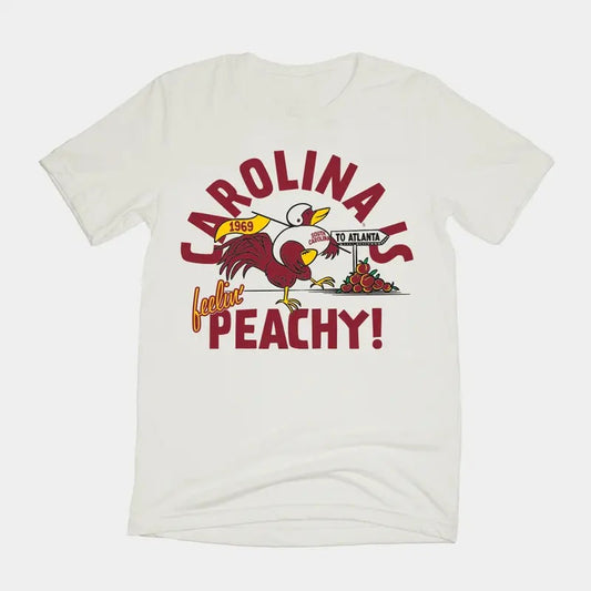 Brad Clothings Vintage Carolina is Peachy 1969 Football Tee Classic Cotton Menswear Top Embroidered Hoodie Shirt Spandex Graphic Crewneck Short Sleeve