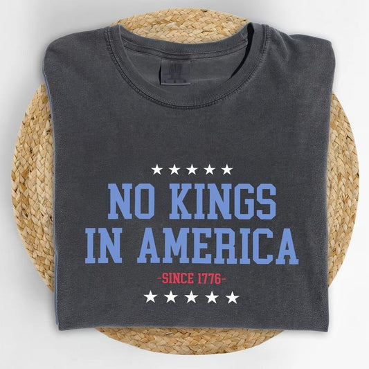 ChicCotton No Kings In America Comfort Colors Shirt, Liberal Democrat T-shirt, Protect Democracy Graphic Tee, Resist Clothing, Activist Unisexy Shirt