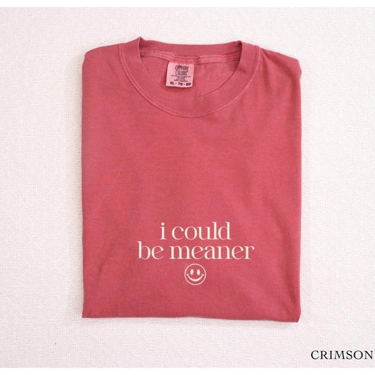 Comfort Colors I Could Be Meaner Shirt Funny Sarcastic Quote T-shirt Gift For Mean Friend Spicy Attitude Graphic Tee