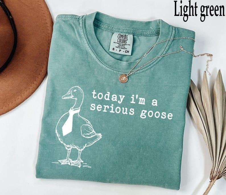 Comfort Colors Today I'm a Serious Goose Shirt, Funny Silly T-Shirt, Funny Goose Tee, Goose Lover TShirt, Meme Tshirt, Gag Tee