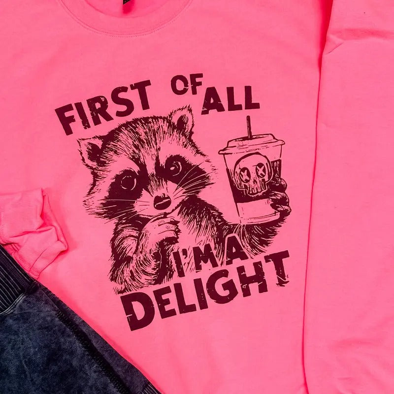 Delight Graphic Pullover