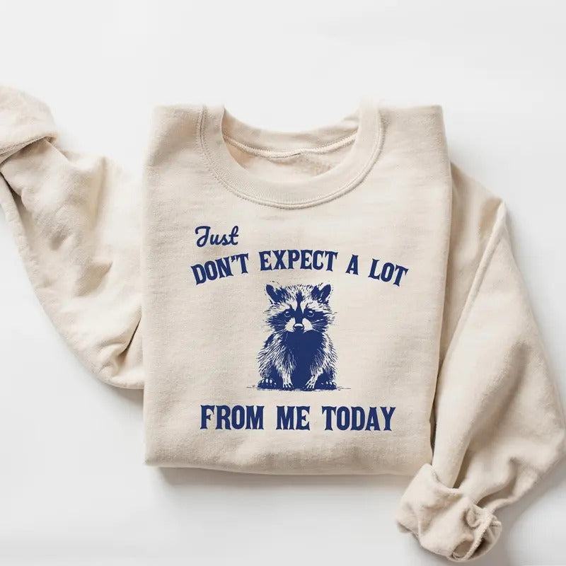 Don't Expect A Lot From Me Today Sweatshirt, Funny Crewneck, Sarcastic Raccoon Shirt, Retro Graphic Tee, Trendy Meme TShirt, Adult Humor Tee