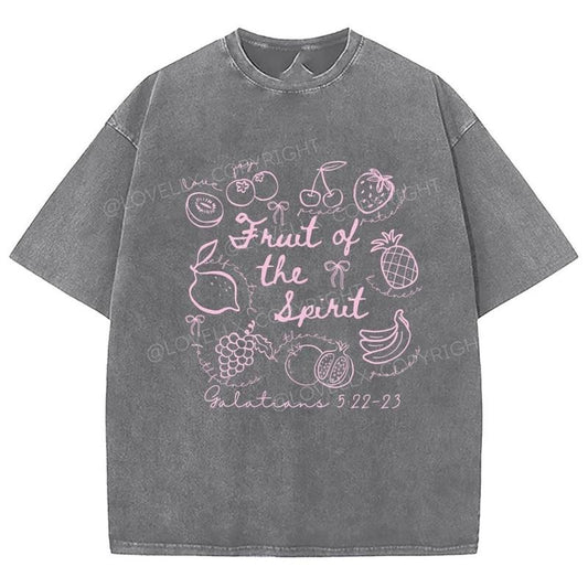 Fruit Of The Spirit Unixes Washed T-Shirt, Christian Jesus  t shirts, Vintage 90s Graphic Tee Gift Cotton Top, Mineral color