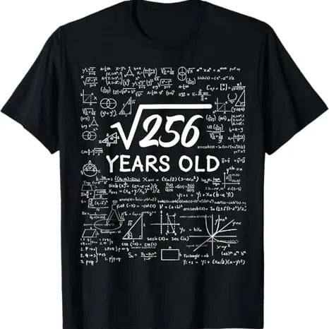 Funny Birthday Shirts, Funny Math 16th Birthday T-Shirt - Menswear Top