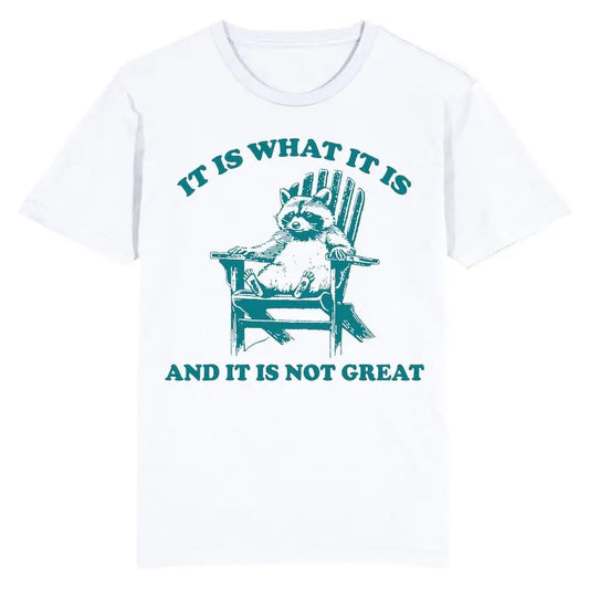 Funny Meme Shirt, Raccoon Is What It Is And It Is Not Great  Tee, Gift Unisex T-Shirt