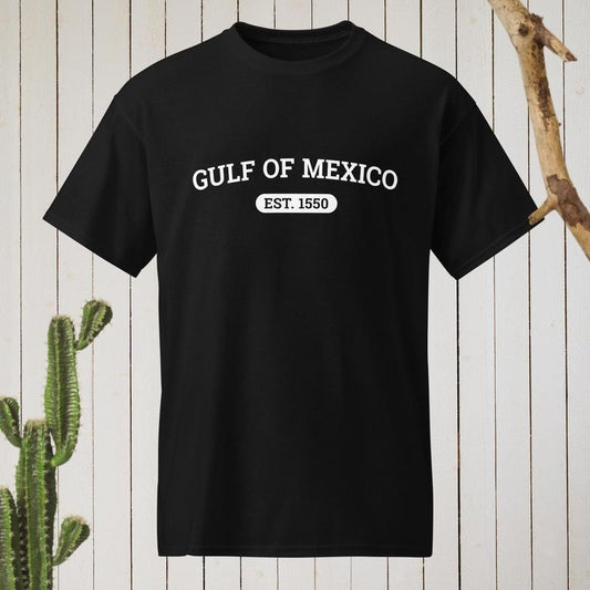Gulf of Mexico Shirt, Gulf of Mexico Classic Tee Shirt, Political Protest Tee, Gulf Coast Shirt, Liberal Gift Tee