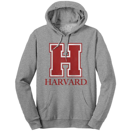 Harvard University H Logo Hooded Sweatshirt - Oxford Gray