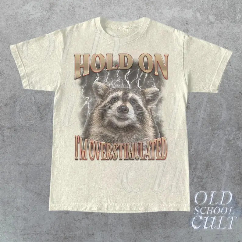 Hold On I'm Overstimulated Vintage T-Shirt, Retro Raccoon Bootleg Shirt, Adult T Shirt, Funny Raccoon Shirt, Meme T Shirt, Washed Shirt