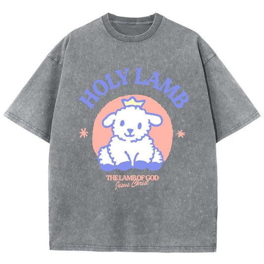 Holy Lamb Unisex Washed T-Shirt, Christian t shirts, Christian Jesus  t shirts, Vintage 90s Graphic Tee Gift Cotton Top Womenswear, Mineral color