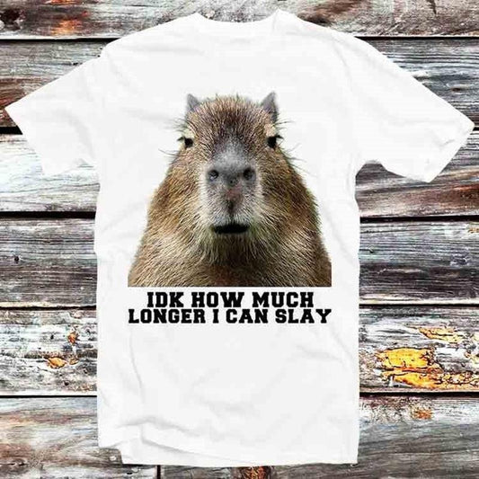 Idk How Much Longer I Can Slay Capybara Sarcastic Dank Meme T Shirt Vintage Retro Cool Gift Unisex Cartoon Anime Top Tee B798