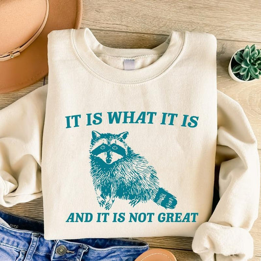 It Is What It Is And It Is Not Great Sweatshirt, Retro Vintage Hoodie, Funny Raccoon Shirt, Meme T Shirt, Cartoon T Shirt, Retro Minimalistic Tee, Fun Gift