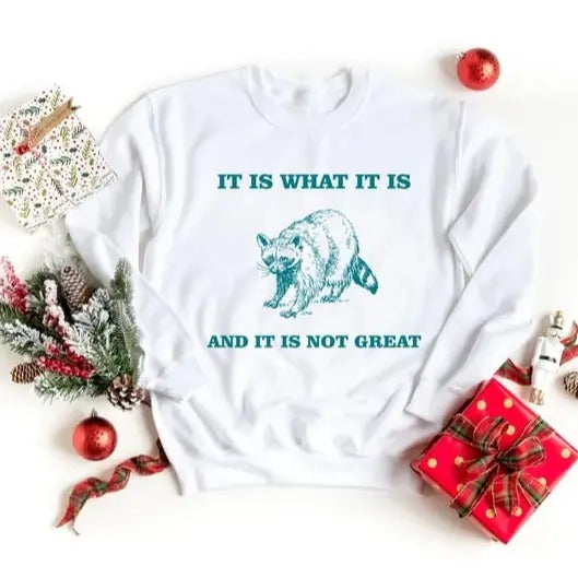 It Is What It Is And It Is Not Great Sweatshirt, Vintage Sweatshirt, Raccoon Sweatshirt, Mental Health Sweatshirt, Funny Sweatshirt Women