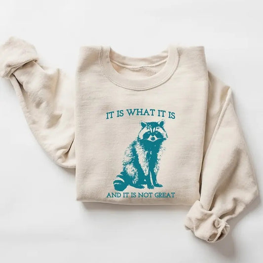 It Is What It Is And It Is Not Great Sweatshirt, Vintage Sweatshirt, Raccoon Sweatshirt, Mental Health Sweatshirt, Funny Sweatshirt Womenstyle{n002}2