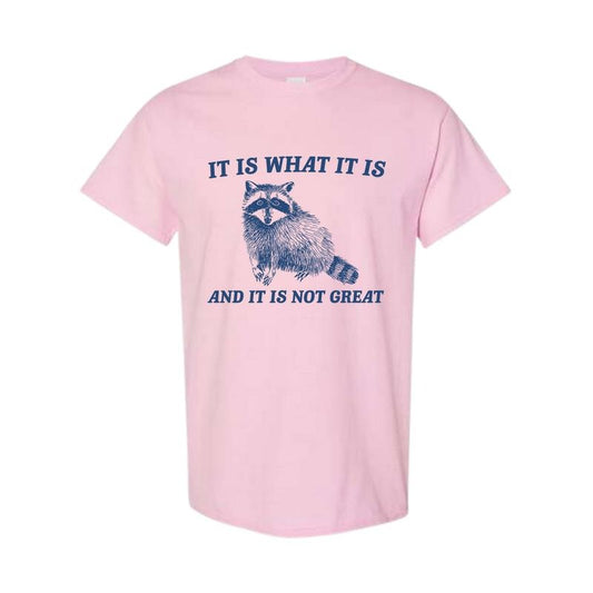 It Is What It Is And It Is Not Great T-Shirt, Vintage Raccoon T-Shirt, Full Color, For Her, For Him, Full Color, Full Size Classic Cotton
