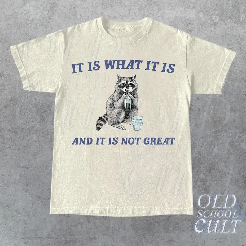 It Is What It Is And It Is Not Great Vintage T Shirt, Funny Raccoon Shirt, Meme T Shirt, Cartoon T Shirt, Retro Minimalistic Tee, Fun Gift