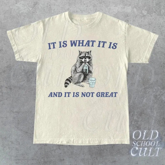 It Is What It Is And It Is Not Great Vintage T Shirt, Funny Raccoon Shirt, Meme T Shirt, Cartoon T Shirt, Retro Minimalistic Tee, Fun Gift