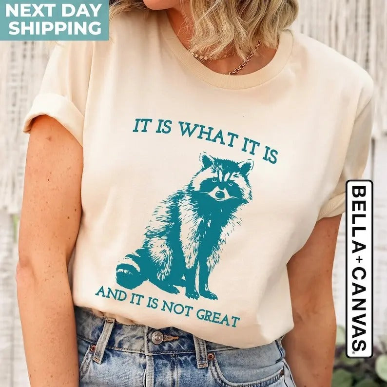 It Is What It Is And It Is Not Great, Vintage Drawing T Shirt, Raccoon Meme Shirt, Sarcastic Shirt, Mental Health Shirt, Trash Panda Shirt