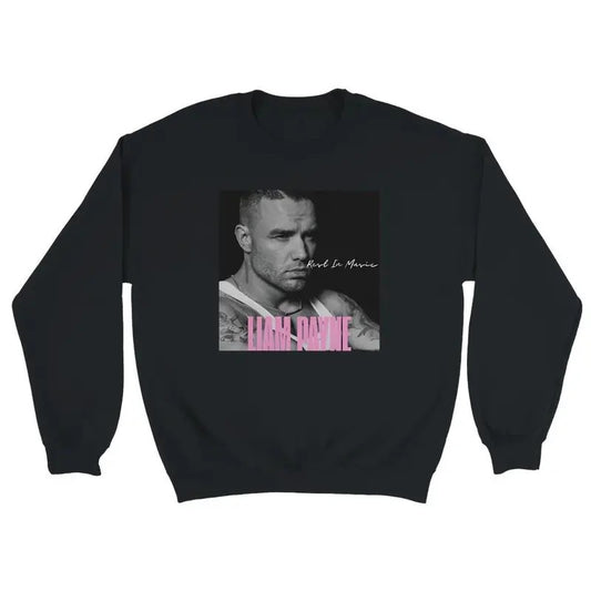 Liam Payne One Direction Sweathirt, Retro Liam Payne Tribute Sweathirt, One Direction Muic Band, Thank For Memorie , Gift For Fan