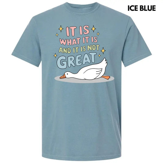 Not Great Goose Comfort Colors T-Shirt 'NLB'