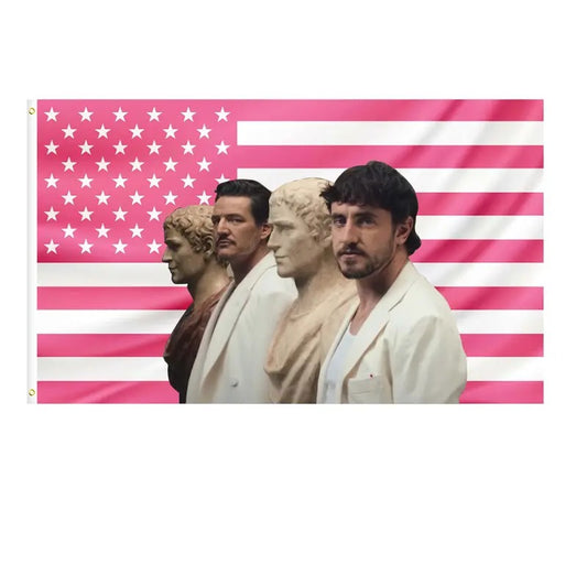 Pedro Pascal and Paul Mescal Gladiator 2 Pink American Flags For Wall Decor, Indoor Wall Tapestries, Room Decor, One Side Polyester Wall Flag