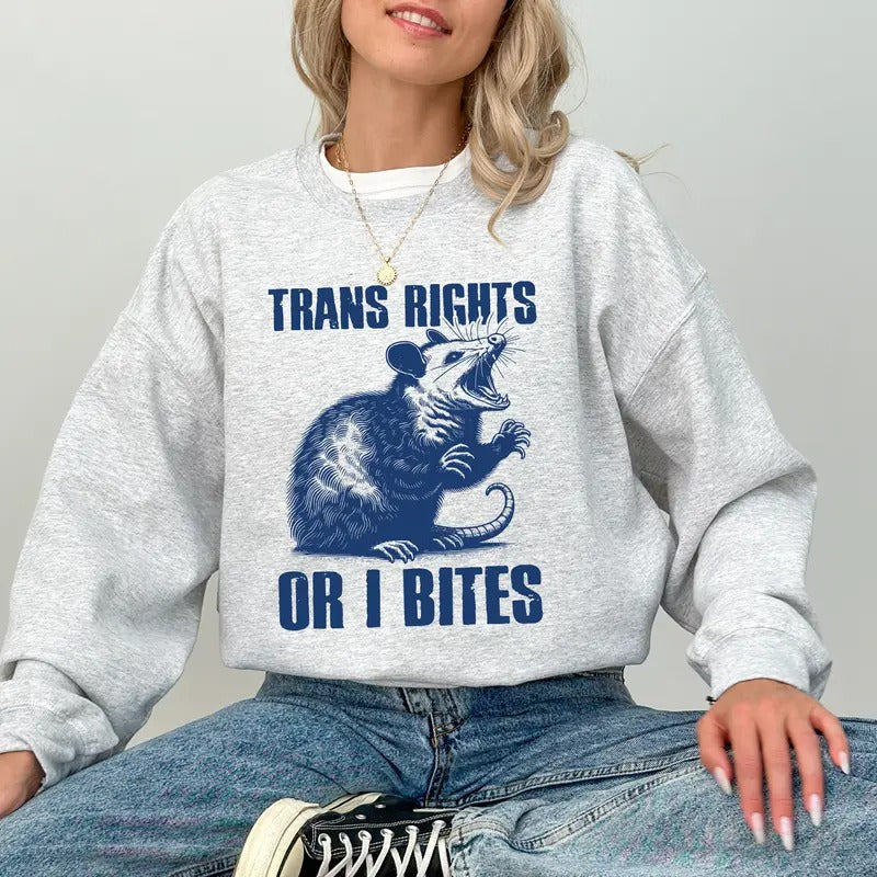 Retro Trans Rights Sweatshirt, Funny Queen Crewneck, Progress Pride Long Sleeved Pullover, Women Clothing