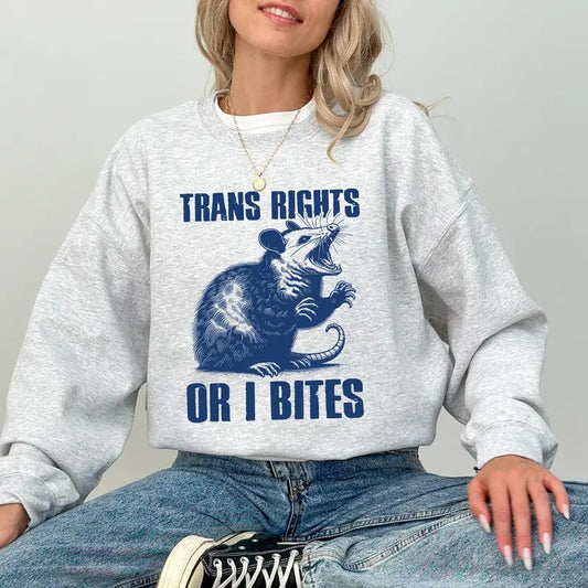 Retro Trans Rights Sweatshirt, Funny Queen Crewneck, Progress Pride Long Sleeved Pullover, Women Clothing