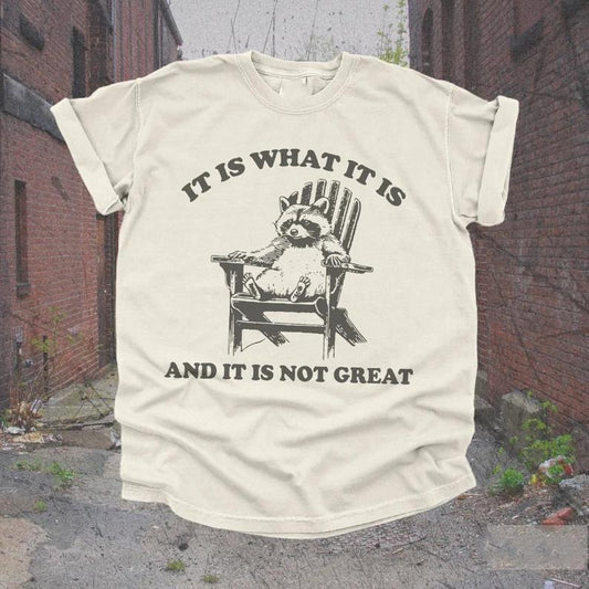 Vintage 90s Funny Racoon TShirt and Sweater | Retro Oversized Y2K Humor Meme Shirt, Trendy Cute Boho Trashcore, Raccoon Gifts, Trashy T-Shirt Womens