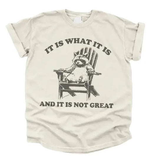 Vintage 90s Funny Racoon TShirt, Meme Shirt Classic Cotton