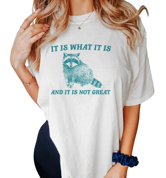 What It Is And It Is Not Great Vintage Drawing T Shirt, Raccoon Meme, Funny Trash Panda, Unisex Tee, Unisex T-Shirt, Gifts For Friend Bff, Short Sleeve Tee Shirt, Gifts For Christmas Fit Top