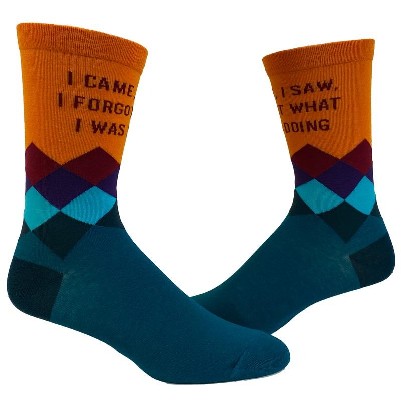Women's I Came I Saw I Forgot What I Was Doing Socks Funny Introvert Sarcastic Graphic Novelty Footwear Funny Graphic Socks Comfortable Fitted Spandex